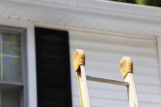 Best Stucco Siding  in Maynardville, TN